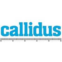 Callidus Surveys